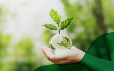 Novo Verde in the Circular Economy & Sustainability panel